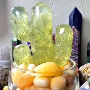Natural Epidote in Prehnite Planted Cactus Set